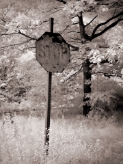 faded sign © Dave Hickey (hicspix)